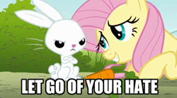 Size: 628x346 | Tagged: safe, edit, edited screencap, screencap, character:angel bunny, character:fluttershy, episode:dragonshy, g4, my little pony: friendship is magic, carrot, duo, food, image macro, let go of your hate