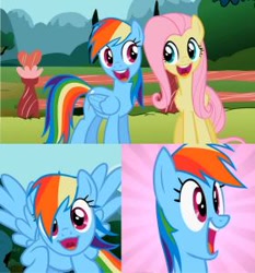 Size: 280x300 | Tagged: safe, edit, edited screencap, screencap, character:fluttershy, character:rainbow dash, episode:may the best pet win, g4, my little pony: friendship is magic, duo, faec, find a pet, go to bread, ponyface