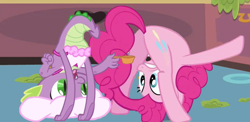 Size: 678x332 | Tagged: safe, edit, screencap, character:pinkie pie, character:spike, ship:pinkiespike, apron, clothing, female, gritted teeth, male, naked apron, out of context, plot, shipping, straight, upside down, wat, wide eyes