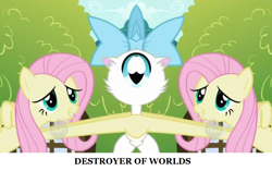 Size: 1178x742 | Tagged: safe, edit, edited screencap, screencap, character:fluttershy, episode:may the best pet win, g4, my little pony: friendship is magic, cat, hub logo, hubble, mirrored, mitsy, the hub, unitinu