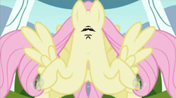Size: 1271x714 | Tagged: safe, edit, edited screencap, screencap, character:fluttershy, species:pegasus, species:pony, female, flying, hub logo, hubble, mare, mirrored, not salmon, raised hoof, solo, spread wings, the hub, unitinu, wat, wings