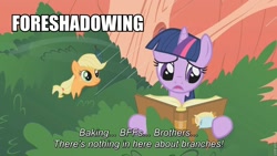 Size: 960x540 | Tagged: safe, edit, edited screencap, screencap, character:applejack, character:shining armor, character:twilight sparkle, episode:look before you sleep, g4, my little pony: friendship is magic, bbbff, book, duo, foreshadowing, hair, hatless, image macro, missing accessory, rain, reading, slumber 101, tree