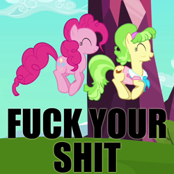 Size: 700x700 | Tagged: safe, edit, edited screencap, screencap, character:chickadee, character:ms. peachbottom, character:pinkie pie, episode:games ponies play, g4, my little pony: friendship is magic, bouncing, caption, dialogue, duo, duo female, female, fuck your shit, happy, hopping, image macro, ms. chickenbottom, pronking, reaction image, smiling, vulgar