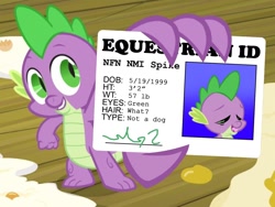 Size: 1280x960 | Tagged: safe, edit, edited screencap, screencap, character:spike, species:dog, species:dragon, episode:spike at your service, g4, my little pony: friendship is magic, dog drama, exploitable meme, id, id card, male, meme, spike card meme, spike the dog