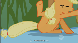 Size: 858x471 | Tagged: safe, edit, edited screencap, screencap, character:applejack, character:rainbow dash, species:earth pony, species:pony, appletini, caption, featureless crotch, micro, out of context, youtube caption