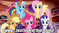 Size: 1280x717 | Tagged: safe, edit, edited screencap, screencap, character:applejack, character:fluttershy, character:minuette, character:pinkie pie, character:rainbow dash, character:rarity, episode:friendship is magic, g4, my little pony: friendship is magic, brony, bronybait, caption, cute, fourth wall, varying degrees of want
