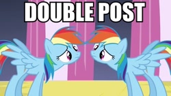 Size: 640x360 | Tagged: safe, edit, edited screencap, screencap, character:rainbow dash, species:pegasus, species:pony, episode:a canterlot wedding, g4, my little pony: friendship is magic, confused, disguise, disguised changeling, double, double rainbow, duo, female, image macro, looking at each other, mare, meme, text