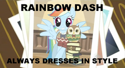 Size: 852x467 | Tagged: safe, edit, edited screencap, screencap, character:rainbow dash, species:owl, species:pegasus, species:pony, episode:may the best pet win, g4, my little pony: friendship is magic, bow tie, clothing, female, mare, photo, rainbow dash always dresses in style, rainbow dork, sweater