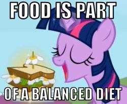 Size: 371x304 | Tagged: safe, edit, edited screencap, screencap, character:twilight sparkle, species:pony, episode:the ticket master, g4, my little pony: friendship is magic, captain obvious, daffodil and daisy sandwich, female, food, image macro, mare, meme, no shit sherlock, sandwich, shaped like itself, solo