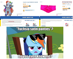 Size: 1233x1001 | Tagged: safe, edit, edited screencap, screencap, character:rainbow dash, species:pegasus, species:pony, episode:too many pinkie pies, g4, my little pony: friendship is magic, beach chair, build-a-bear, clothing, female, image macro, mare, panties, pink underwear, plushie, rainbow dash always dresses in style, reaction image, seriously, sunglasses, underwear