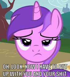 Size: 550x600 | Tagged: safe, edit, edited screencap, screencap, character:amethyst star, character:mare do well, character:sparkler, episode:the mysterious mare do well, g4, my little pony: friendship is magic, annoyed, caption, cropped, female, image macro, reaction image, solo, vulgar