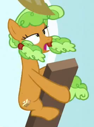 Size: 266x357 | Tagged: safe, edit, edited screencap, screencap, character:apple brown betty, species:earth pony, species:pony, apple family member, background pony, board, cargo ship, female, mare, out of context, plank, solo