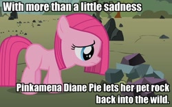 Size: 694x432 | Tagged: safe, edit, edited screencap, screencap, character:pinkamena diane pie, character:pinkie pie, episode:the cutie mark chronicles, g4, my little pony: friendship is magic, blank flank, female, filly, filly pinkie pie, image macro, pet rock, rock farm, sad, solo, younger