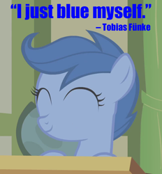 Size: 650x700 | Tagged: safe, edit, edited screencap, screencap, character:archer, episode:call of the cutie, g4, my little pony: friendship is magic, archer (character), arrested development, blue myself, caption, cropped, image macro, scootablue, solo