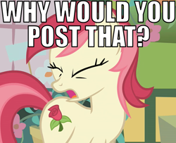 Size: 800x650 | Tagged: safe, edit, edited screencap, screencap, character:roseluck, episode:bridle gossip, g4, my little pony: friendship is magic, caption, cropped, eyes closed, female, image macro, open mouth, reaction image, solo