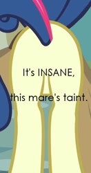 Size: 364x690 | Tagged: safe, edit, edited screencap, screencap, character:bon bon, character:sweetie drops, species:pony, butt, caption, featureless crotch, female, mare, mr show with bob and david, out of context, plot, solo, taint, vulgar