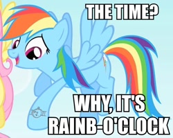 Size: 542x432 | Tagged: safe, edit, edited screencap, screencap, character:fluttershy, character:rainbow dash, episode:party of one, g4, my little pony: friendship is magic, bad poker face, caption, image macro, pun