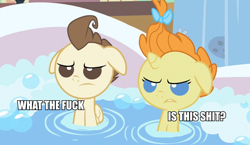 Size: 922x533 | Tagged: safe, edit, edited screencap, screencap, character:pound cake, character:pumpkin cake, species:pony, episode:baby cakes, g4, my little pony: friendship is magic, baby, baby pony, bath, bathtub, bubble, duo, floppy ears, reaction image, vulgar