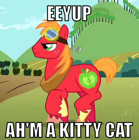 Size: 477x480 | Tagged: safe, edit, edited screencap, screencap, character:big mcintosh, species:earth pony, species:pony, episode:the super speedy cider squeezy 6000, g4, my little pony: friendship is magic, animated, behaving like a cat, cat, cropped, cute, eeyup, goggles, image macro, macabetes, male, solo, stallion, sweat, sweet apple acres, trotting, trotting in place