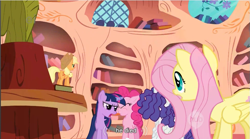 Size: 857x475 | Tagged: safe, edit, edited screencap, screencap, character:fluttershy, character:pinkie pie, character:rarity, character:twilight sparkle, episode:bridle gossip, g4, my little pony: friendship is magic, appletini, book, caption, ei, flutterguy, golden oaks library, hairity, hub logo, implied death, micro, spitty pie, twilight flopple, youtube caption