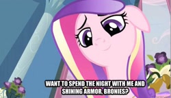 Size: 598x342 | Tagged: safe, edit, edited screencap, screencap, character:queen chrysalis, character:shining armor, species:pony, episode:a canterlot wedding, g4, my little pony: friendship is magic, bedroom eyes, bronybait, caption, fake cadance, female, image macro, implied group sex, implied sex, implied threesome, mare, solo