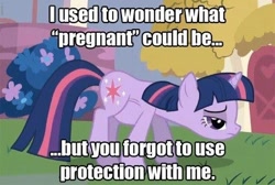 Size: 480x322 | Tagged: safe, edit, edited screencap, screencap, character:twilight sparkle, character:twilight sparkle (unicorn), species:pony, species:unicorn, episode:friendship is magic, g4, my little pony: friendship is magic, female, image macro, mama twilight, mare, pregnant, solo