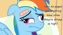 Size: 763x424 | Tagged: safe, edit, edited screencap, screencap, character:rainbow dash, episode:read it and weep, g4, my little pony: friendship is magic, bandage, bandaid, derp, faec, female, high, insane pony thread, solo, tumblr, wavy mouth
