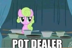 Size: 600x403 | Tagged: safe, edit, edited screencap, screencap, character:daisy, episode:family appreciation day, g4, my little pony: friendship is magic, cropped, image macro, pot, pots, solo