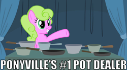 Size: 900x500 | Tagged: safe, edit, edited screencap, screencap, character:daisy, episode:family appreciation day, g4, my little pony: friendship is magic, caption, image macro, pots, pun, solo, visual gag