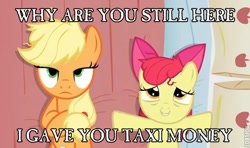 Size: 568x336 | Tagged: safe, edit, edited screencap, screencap, character:apple bloom, character:applejack, species:earth pony, species:pony, episode:apple family reunion, g4, my little pony: friendship is magic, bed, caption, female, filly, image macro, implied prostitution, mare, on back, pillow