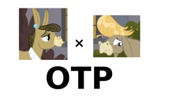 Size: 1008x572 | Tagged: safe, edit, screencap, character:cranky doodle donkey, character:matilda, species:donkey, ship:crankilda, episode:a friend in deed, g4, my little pony: friendship is magic, exploitable meme, female, hilarious in hindsight, male, meme, otp, shipping, simple background, straight, vector, white background