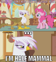 Size: 658x726 | Tagged: safe, edit, edited screencap, screencap, character:gilda, character:pinkie pie, species:griffon, episode:griffon the brush-off, g4, my little pony: friendship is magic, butthurt, caption, image macro, implied cloaca