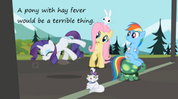 Size: 800x445 | Tagged: safe, edit, edited screencap, screencap, character:angel bunny, character:fluttershy, character:opalescence, character:rainbow dash, character:rarity, character:tank, episode:may the best pet win, g4, my little pony: friendship is magic, bandage, hay fever, insane pony thread, sneezing, tumblr