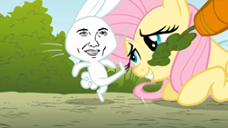 Size: 830x467 | Tagged: safe, edit, edited screencap, screencap, character:angel bunny, character:fluttershy, species:pegasus, species:pony, species:rabbit, animal, carrot, duo, female, food, kicking, mare, outdoors