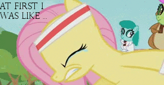 Size: 320x167 | Tagged: safe, edit, edited screencap, screencap, character:fluttershy, character:merry may, character:spring melody, character:sprinkle medley, episode:hurricane fluttershy, g4, my little pony: friendship is magic, animated, crying, vulgar, wing-ups