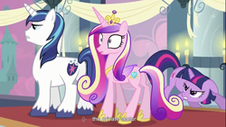 Size: 1366x768 | Tagged: safe, edit, edited screencap, screencap, character:princess cadance, character:shining armor, character:twilight sparkle, species:alicorn, species:pony, species:unicorn, episode:a canterlot wedding, g4, my little pony: friendship is magic, butt, caption, female, floppy ears, frown, gritted teeth, male, mare, plot, stallion, standing, surprised, wide eyes, youtube caption, youtube link