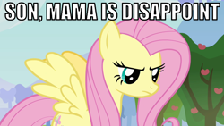Size: 640x360 | Tagged: safe, edit, edited screencap, screencap, character:fluttershy, episode:keep calm and flutter on, g4, my little pony: friendship is magic, disappoint, disappointed, female, fluttermom, image macro, solo