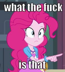 Size: 543x600 | Tagged: safe, edit, edited screencap, screencap, character:pinkie pie, equestria girls:equestria girls, g4, my little pony: equestria girls, my little pony:equestria girls, cropped, female, image macro, pointing, reaction image, solo, vulgar