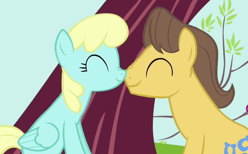 Size: 798x494 | Tagged: safe, edit, edited screencap, screencap, character:caramel, character:sassaflash, ship:caraflash, episode:hearts and hooves day, g4, my little pony: friendship is magic, animated, boop, cropped, eyes closed, female, loop, male, nose wrinkle, noseboop, nuzzling, shipping, straight