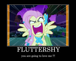 Size: 750x600 | Tagged: safe, edit, edited screencap, screencap, character:fluttershy, species:pegasus, species:pony, episode:the best night ever, g4, my little pony: friendship is magic, demotivational poster, female, flutterrage, hello 2011, mare, meme, solo, text, you're going to love me