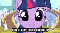 Size: 627x343 | Tagged: safe, edit, edited screencap, screencap, character:twilight sparkle, episode:the crystal empire, g4, my little pony: friendship is magic, bronybait, caption, cute, faec, female, hub logo, hubble, image macro, looking at you, smiling, solo, twiabetes
