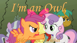 Size: 640x360 | Tagged: safe, edit, edited screencap, screencap, character:apple bloom, character:diamond tiara, character:scootaloo, character:snails, character:snips, character:sweetie belle, character:twist, species:owl, species:pegasus, species:pony, caption, cs188, cutie mark crusaders, dialogue, image macro, narwhal, orange text, pointing, reference, text