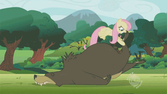 Size: 534x300 | Tagged: safe, edit, edited screencap, screencap, character:fluttershy, character:harry, episode:lesson zero, g4, my little pony: friendship is magic, animated, bear, duo, fuck you, hub logo, hubble, neck snap, reaction image, speed lines, the hub, tongue out, vulgar