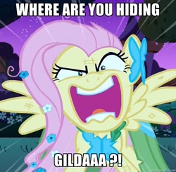 Size: 1096x1074 | Tagged: safe, edit, edited screencap, screencap, character:fluttershy, character:gilda, species:griffon, episode:the best night ever, g4, my little pony: friendship is magic, angry, cropped, drama, female, flutterrage, gilda drama, image macro, implied gilda, revenge, scratches, solo, spread wings, wings, you're going to love me