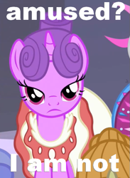 Size: 421x575 | Tagged: safe, edit, edited screencap, screencap, character:north star (g4), episode:sweet and elite, g4, my little pony: friendship is magic, caption, cropped, north star, solo focus, unamused