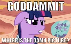 Size: 400x250 | Tagged: safe, edit, edited screencap, screencap, character:twilight sparkle, species:pony, species:unicorn, book, bust, female, floppy ears, flower, frown, golden oaks library, gritted teeth, image macro, mare, meme, picture, portrait, solo, twilight is not amused, vulgar