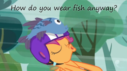 Size: 500x278 | Tagged: safe, edit, edited screencap, screencap, character:scootaloo, species:pegasus, species:pony, episode:sleepless in ponyville, g4, my little pony: friendship is magic, clothing, female, fish, hat, insane pony thread, solo