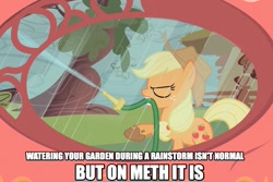 Size: 959x642 | Tagged: safe, edit, edited screencap, screencap, character:applejack, episode:look before you sleep, g4, my little pony: friendship is magic, caption, female, hose, image macro, meth, mud, public service announcement, rain, solo, text, tree