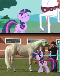 Size: 852x1078 | Tagged: safe, edit, edited screencap, screencap, character:twilight sparkle, character:twilight sparkle (unicorn), species:human, species:pony, species:unicorn, episode:the best night ever, g4, my little pony: friendship is magic, analysis, height, horse, irl, irl horse, irl human, mouse horse, photo, size chart, size comparison, size difference