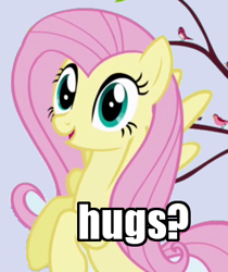 Size: 269x321 | Tagged: safe, edit, edited screencap, screencap, character:fluttershy, species:bird, species:pegasus, species:pony, episode:friendship is magic, g4, my little pony: friendship is magic, bronybait, cropped, female, hug, hug request, image macro, looking at you, mare, meme, reaction image, solo, songbird